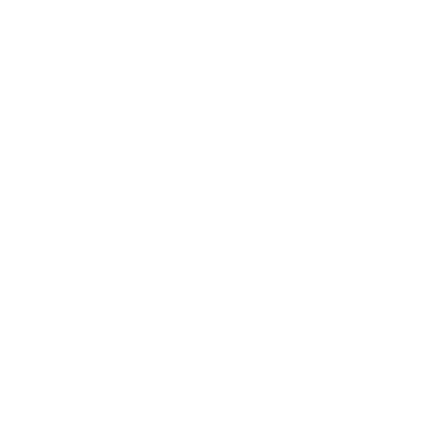 Icon Verlässlichkeit